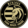 Wenzhou FC